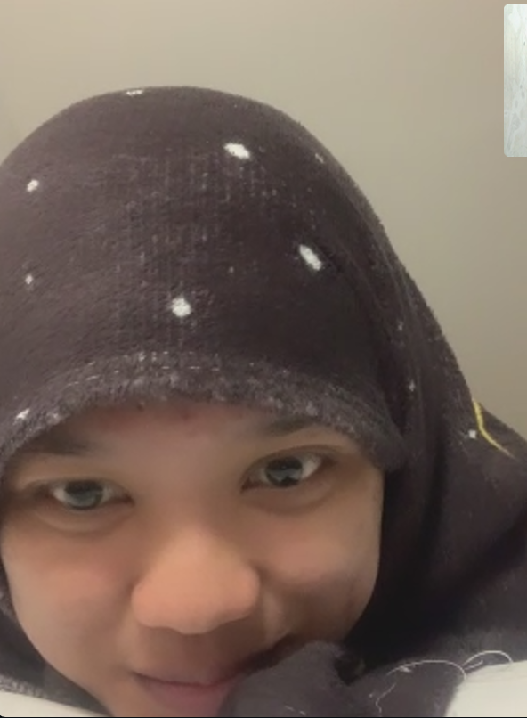 Tangkapan layar video call